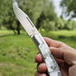 Fox Austrian M390 Powder Steel Natural Shell Inlaid Knife